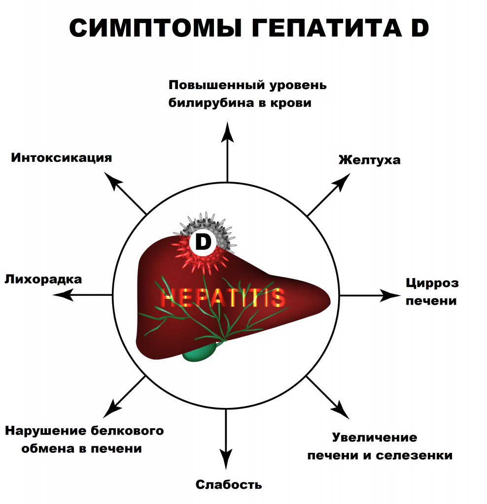 анализ на гепатит D