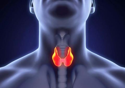 Симптомы тиреотоксикоз щитовидной железы лечение thumbnail