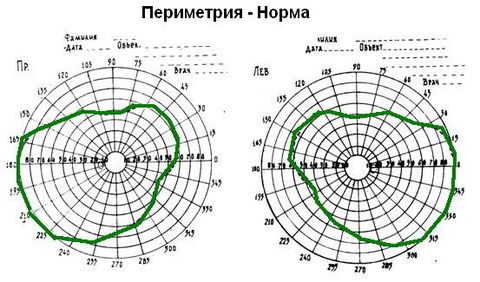 норма периметрия глаза