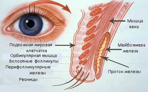 Лечение Халязиона